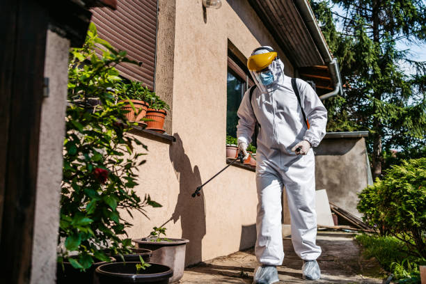 Best Affordable Pest Control Services  in Panther Valley, NJ