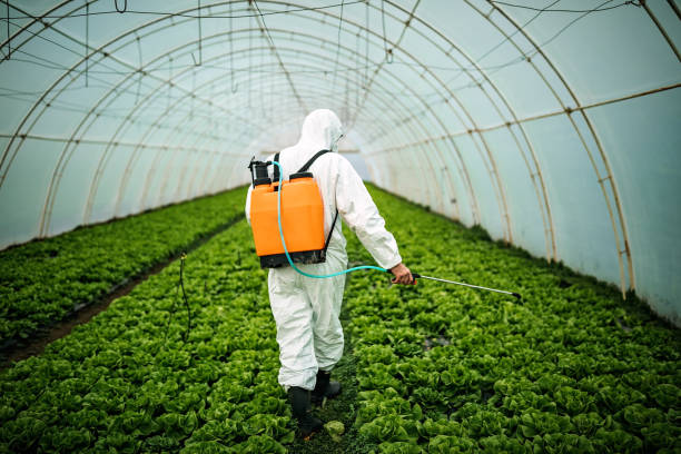 Best Local Pest Control Services  in Panther Valley, NJ