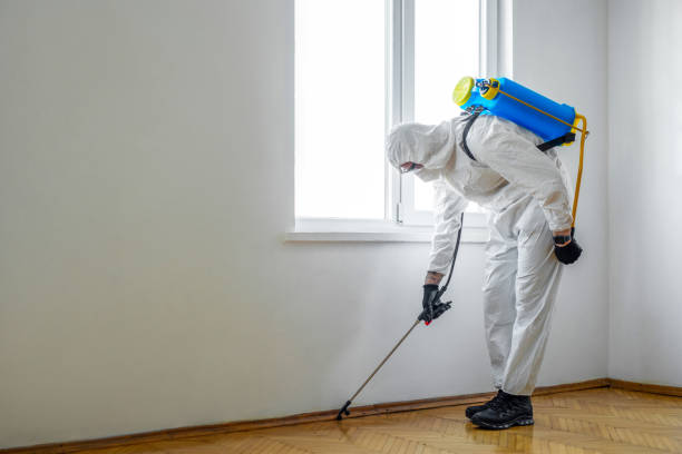 Best Pest Prevention Services  in Panther Valley, NJ