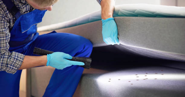 Best Pest Inspection Near Me  in Panther Valley, NJ