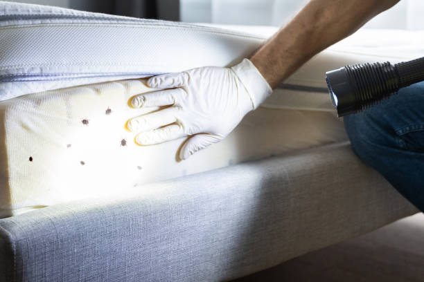 Best Best Pest Control Companies  in Panther Valley, NJ