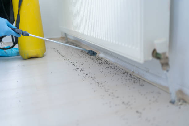 Best Bed Bug Extermination  in Panther Valley, NJ