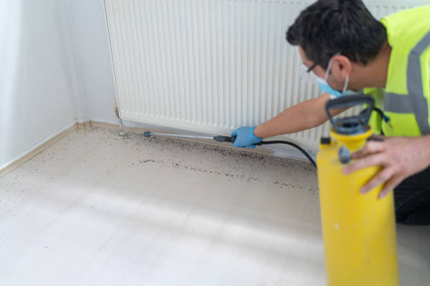 Best Affordable Pest Control Services  in Panther Valley, NJ