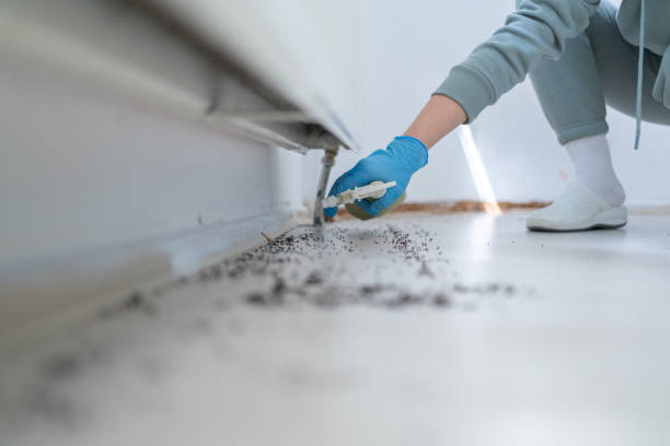 Best Pest Removal Services  in Panther Valley, NJ