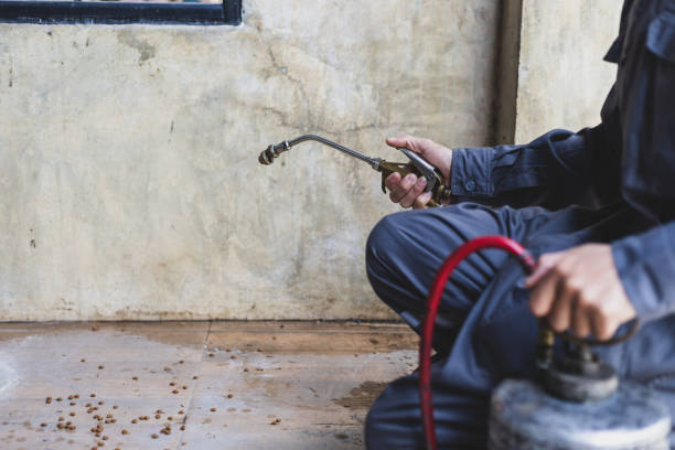 Best Best Pest Control Companies  in Panther Valley, NJ